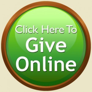 buttongiveonine-300x300